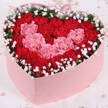 5 Stems of Pink Carnations & 16 Stems of Red Carnations