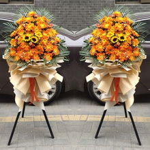 Orange Gerberas & Sunflowers, Pair of Grand Opening Baskets