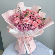 19 Stems of Pink Carnations & Pink Baby's Breath