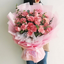 11 Stems of Pink Carnations & 11 Stems of Pink Roses