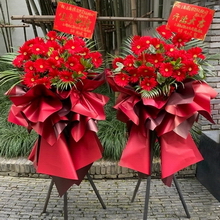 Red Gerbera 