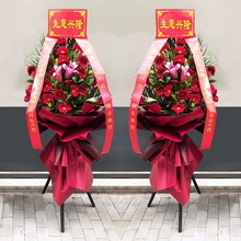 Red Gerbera 