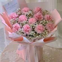 11 Stems of Pink Carnations