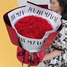 33 Stems of Red Carnations