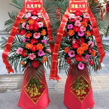 Pair of Gerbera Daisy Opening Baskets