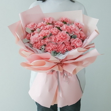 33 Stems of Pink Carnations