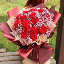 21 Stems of Red Carnations
