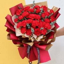 33 Stems of Red Carnations