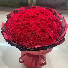 99 Stems of Red Carnations