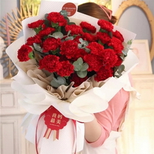 33 Stems of Red Carnations