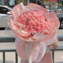 33 Stems of Pink Carnations