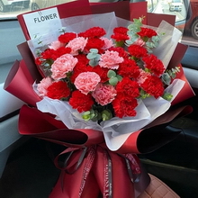 33 Stems of Mixed Carnations (Red & Pink)