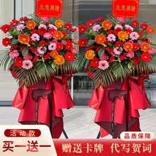 Gerbera Daisies in Pink, Orange, and Red