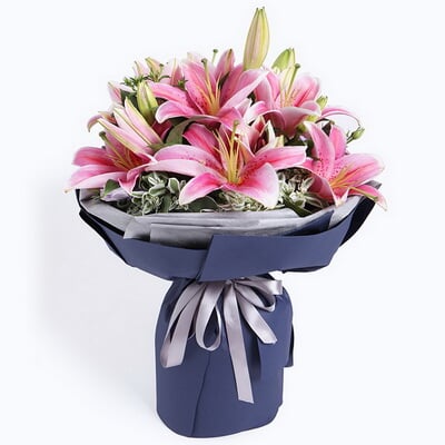 5 Stems of Multi-bloom Pink Stargazer Lilies