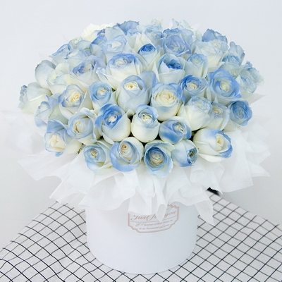 Heartbeat Romance Blue Rose Bucket