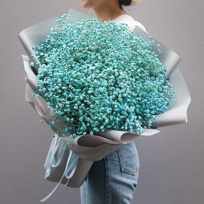 Starry-Eyed Blue Gypsophila