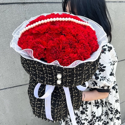 33 Stems of Red Carnations