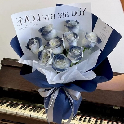 Starlight Promise